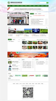 长沙营销型网站建设与网络营销策划——湖南移动时代网络公司的专业服务